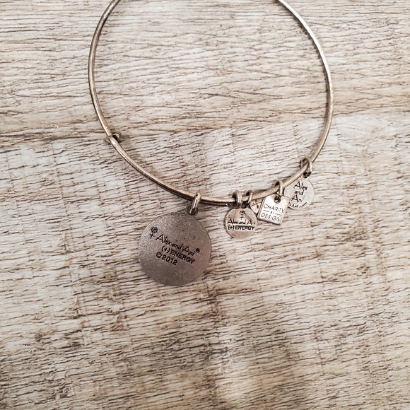 Alex and Ani Live Music Charm Bracelet - Picture 5 of 5